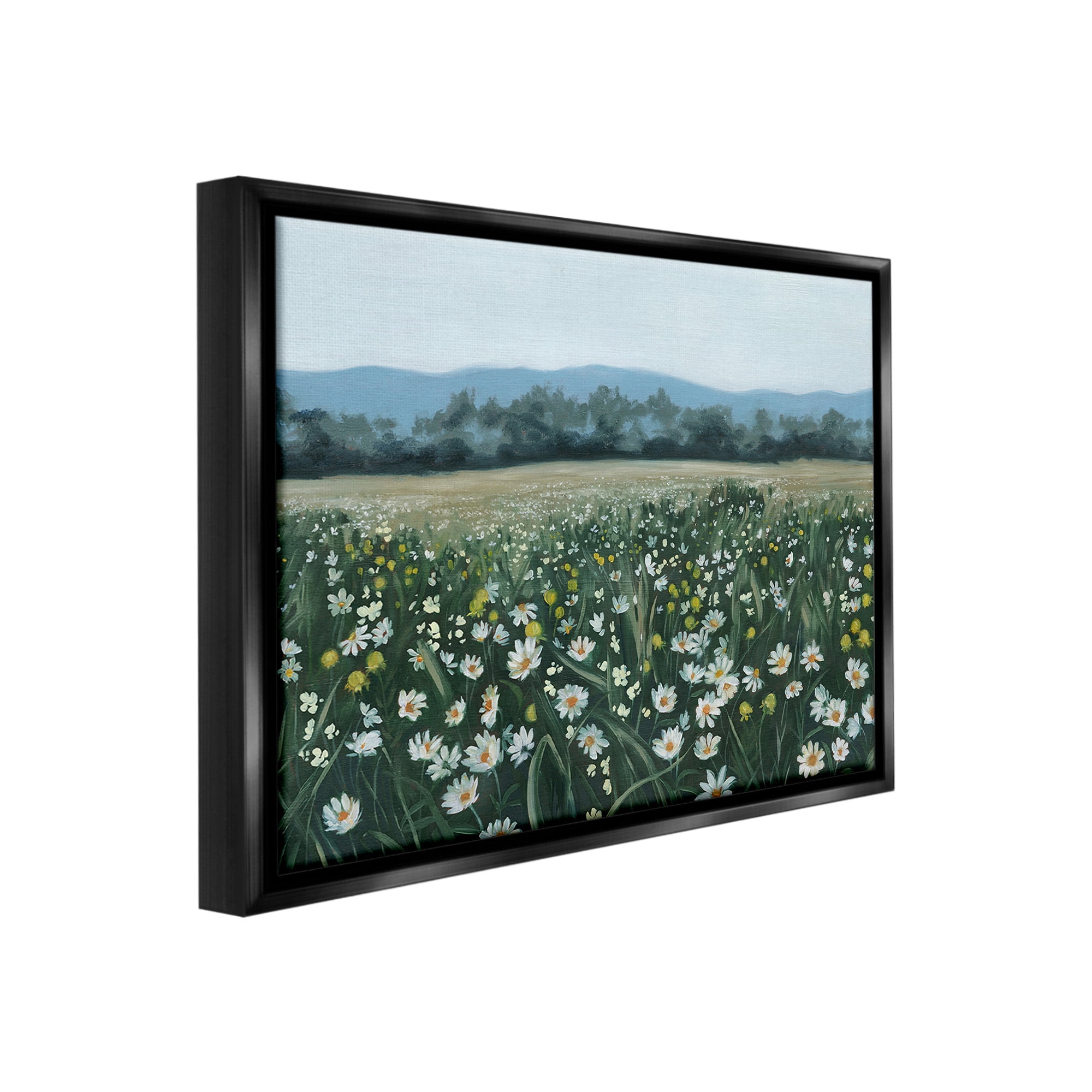 Stupell Industries Traditional Daisy Meadow Landscape Painting Black Floater Framed Canvas Art Print Wall Art, 31 x 25