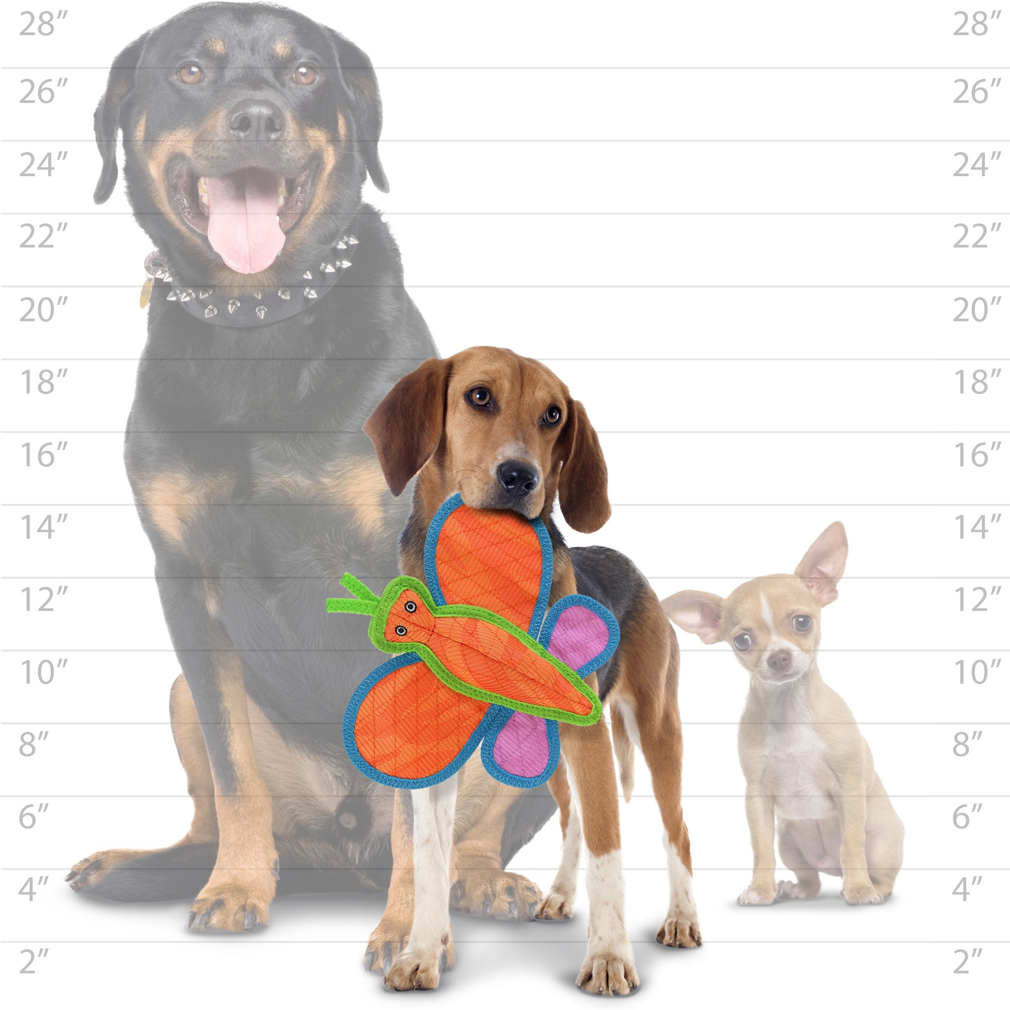 DuraForce Durable Woven Fiber Butterfly, Dog Toy with Squeaker 2 Pack