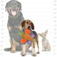 thumbnail image 3 of DuraForce Durable Woven Fiber Butterfly Dog Toy with Squeaker, 3 of 7