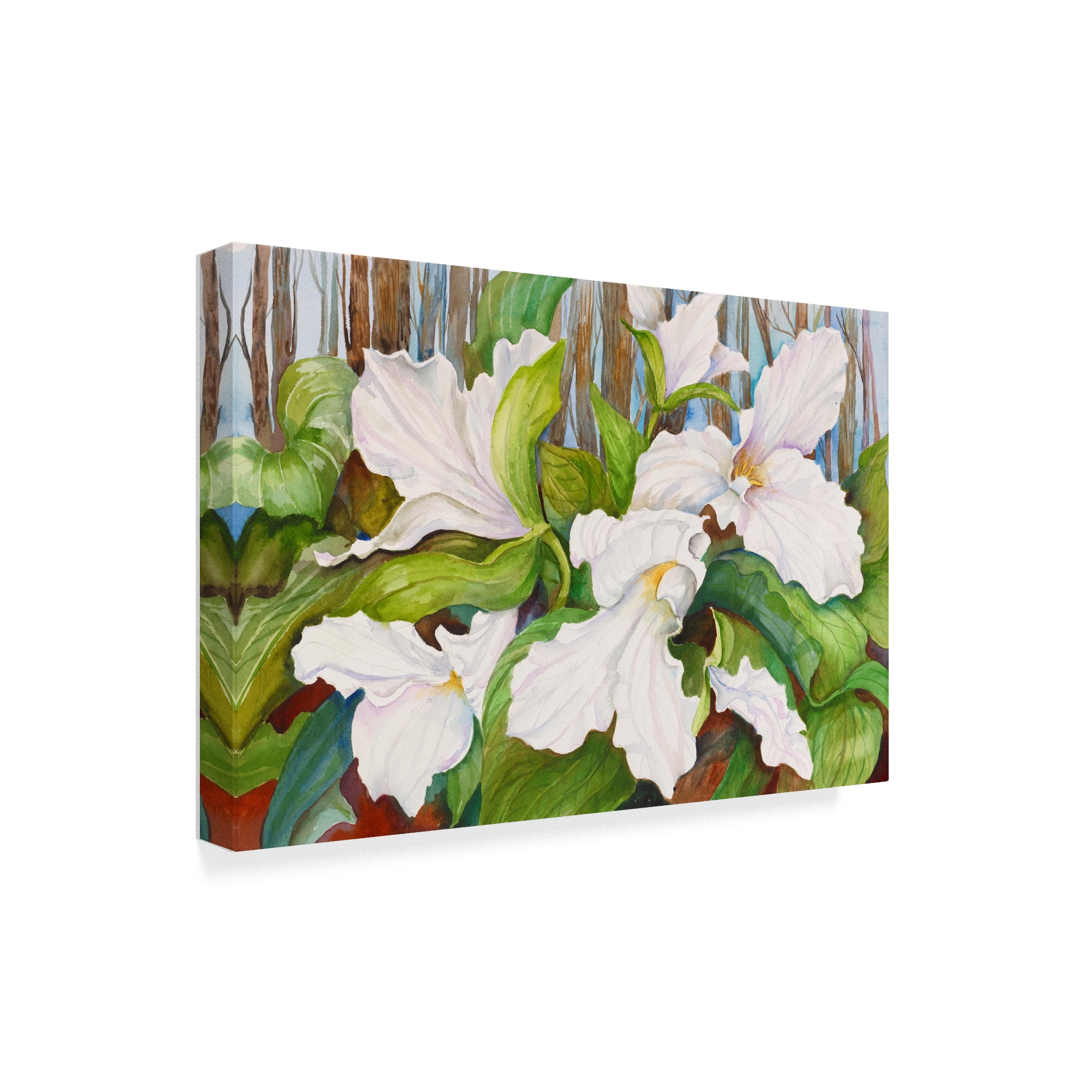 Trademark Fine Art 'Woodland Trillium Close Up' Canvas Art by Joanne Porter