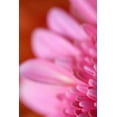 thumbnail image 2 of Millet, Karyn 13x18 Gold Ornate Wood Framed with Double Matting Museum Art Print Titled - Pink Afternoon, 2 of 4