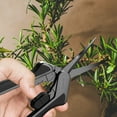 AC Infinity 2-Pack Curved Pruning Shear, Stainless Steel, Lightweight ...