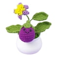 thumbnail image 2 of Maceta de simulación de ganchillo | Mini decoración de coche de flores de lana | Planta artificial en maceta | Sin mantenimiento | Adorno de mesa de interior | Oficina Boda en Casa | 1 pieza de, 2 of 5