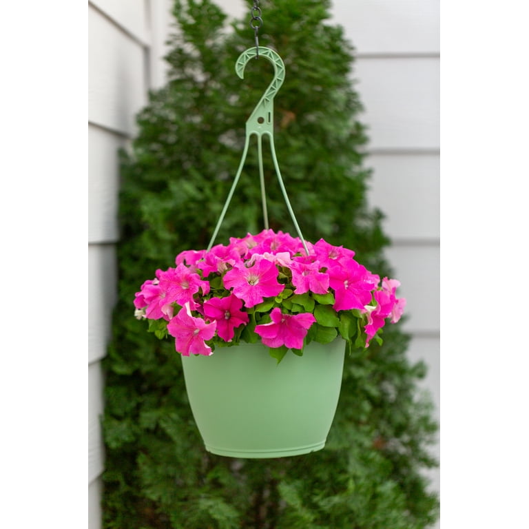 Expert Gardener 1.5gal Pink Petunia Live Annual Plant Hanging Basket Sun -  Walmart.com