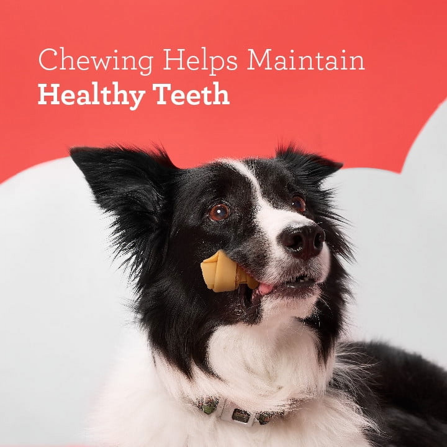 DreamBone Mini Chews, Rawhide Free Dog Chews, Made with Real Bacon and Cheese Flavor, 24 Count