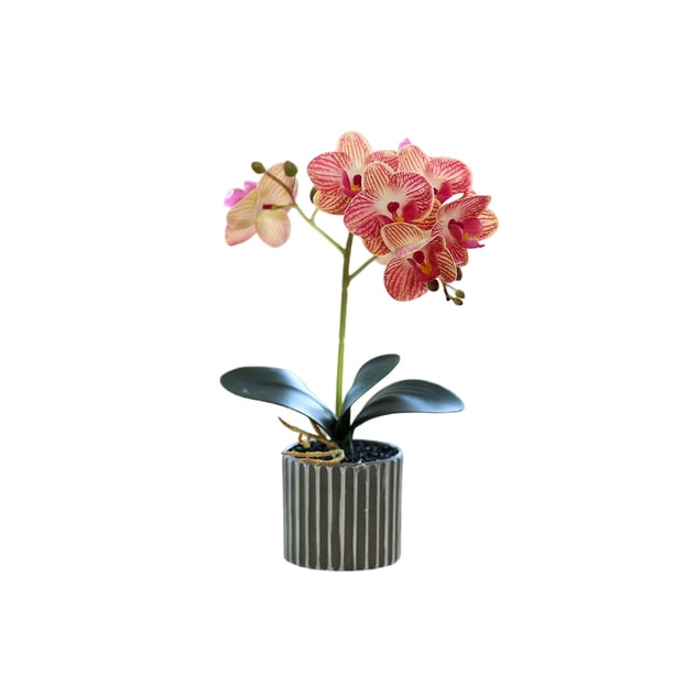 Inteprter Bonsái de orquídeas artificiales Phalaenopsis en maceta para el hogar, jardín, de planta falsa realista para decoración de bodas al Decoración Rosa Inteprter HA084197-03