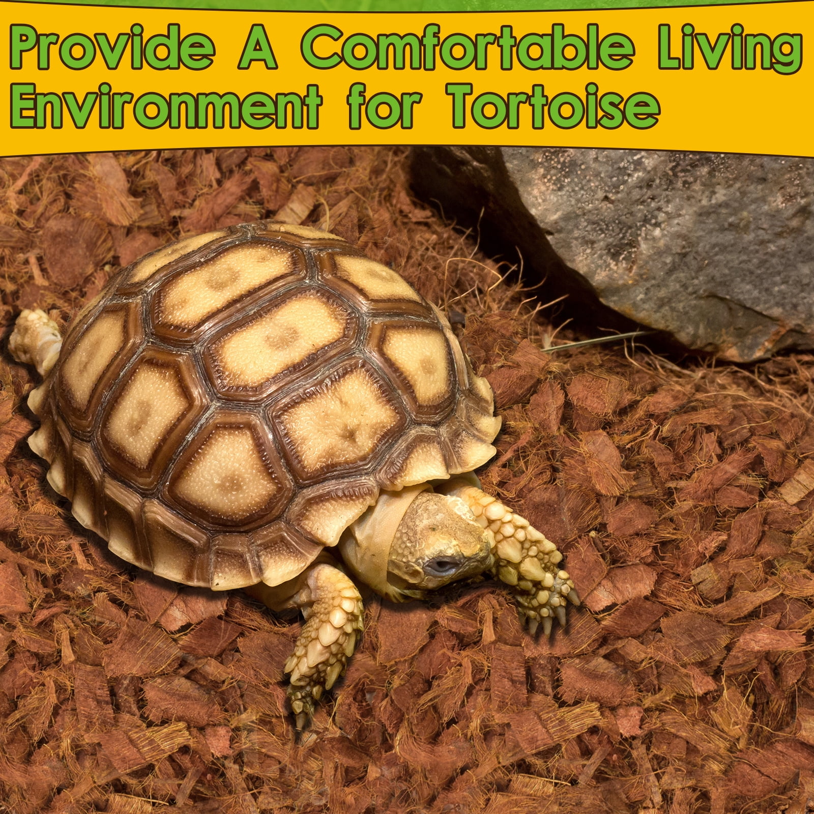 Halatool 10LB Natural Coconut Husk Chips, Premium Reptile Bedding & Terrarium Substrate for Snakes, Lizards, Frogs, and Small Animals