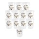 thumbnail image 1 of Juego de vasos translúcidos para despedida de soltera, vaso de plástico para novia del equipo, 12 Uds., 1 of 5