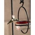Glass Bee & Wasp Proof Hummingbird Feeder + Skinny Ant Moat Bundle