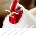 thumbnail image 1 of 1000 Uds. Perno de nariz de pollo, equipo de cría de pollos, herramientas para evitar que el gallo coma alimento para gallinas, 1 of 5