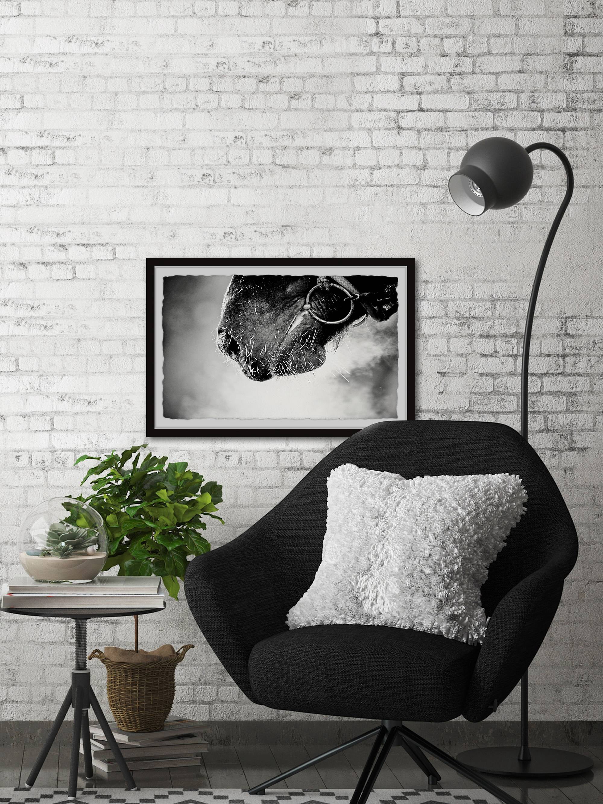Marmont Hill Muzzle Framed Wall Art