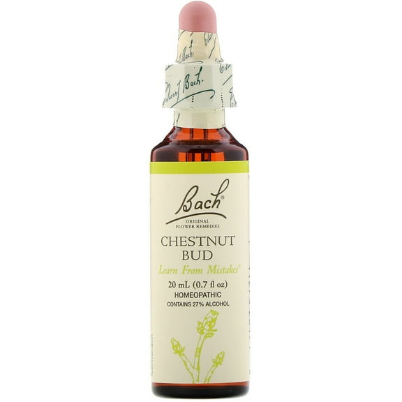 Bach Original Flower Remedies, Chestnut Bud for Learning from Mistakes, 20mL Dropper