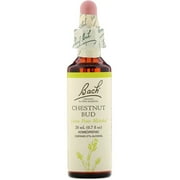 Bach Original Flower Remedies, Chestnut Bud for Learning from Mistakes, 20mL Dropper