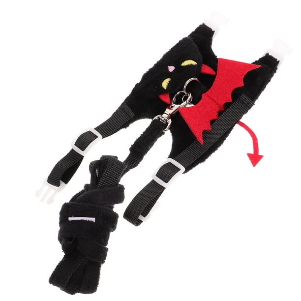 FUTUREORYY 1 Arnés Con Correa Para Mascotas Pequeñas Ideal Para Paseos Y