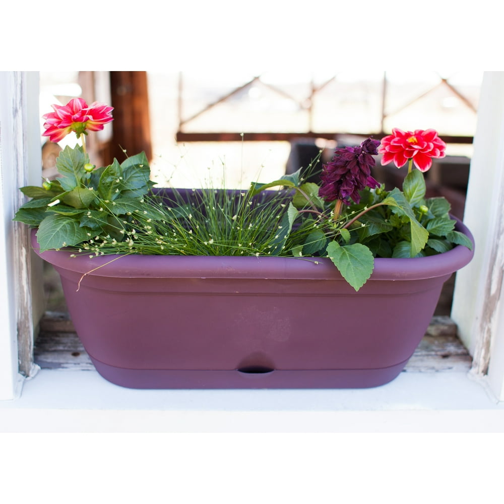 Bloem Lucca Self Watering Window Box 18" Exotica