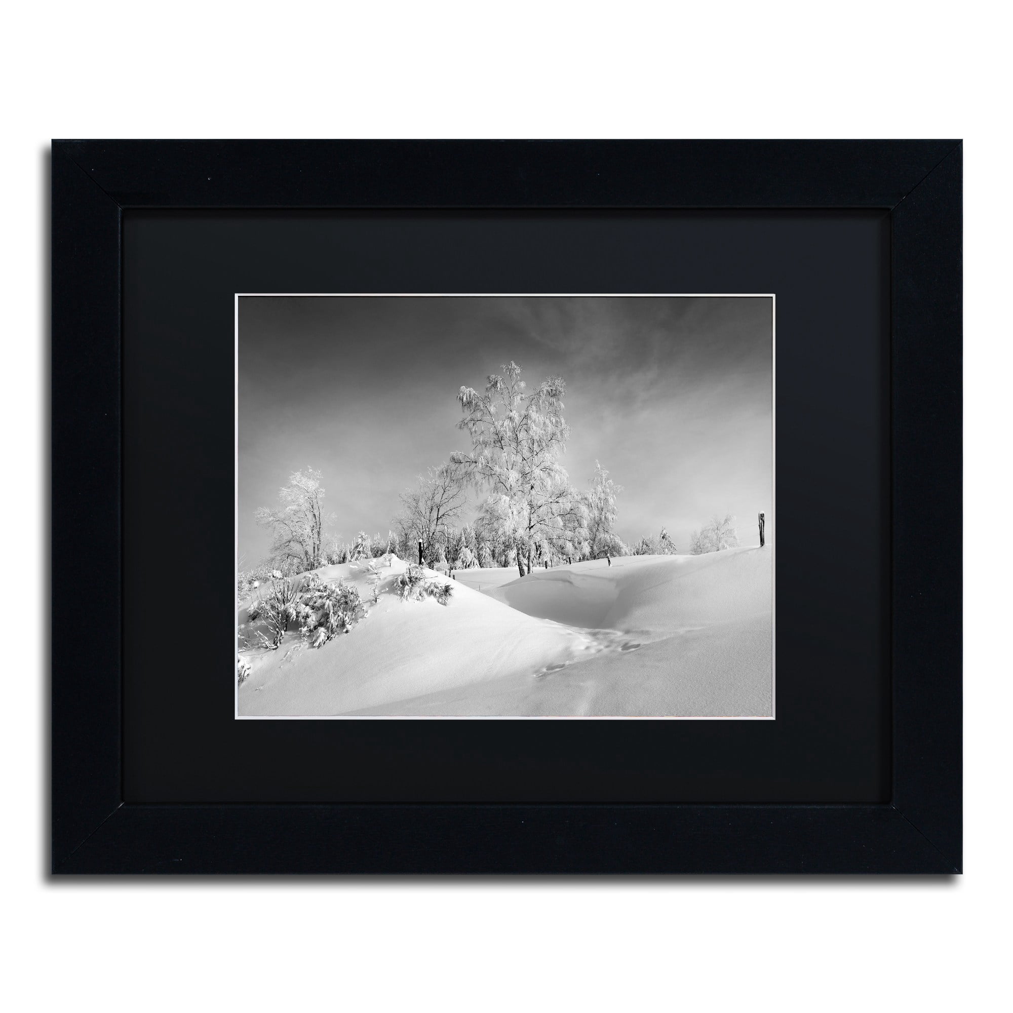Trademark Fine Art "Dressed For Winter B&W" Canvas Art by Philippe Sainte-Laudy, Black Matte, Black Frame