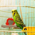 thumbnail image 1 of Feltree Birds Standing Rod Cage Claw Sharpening Rod, 1 of 7