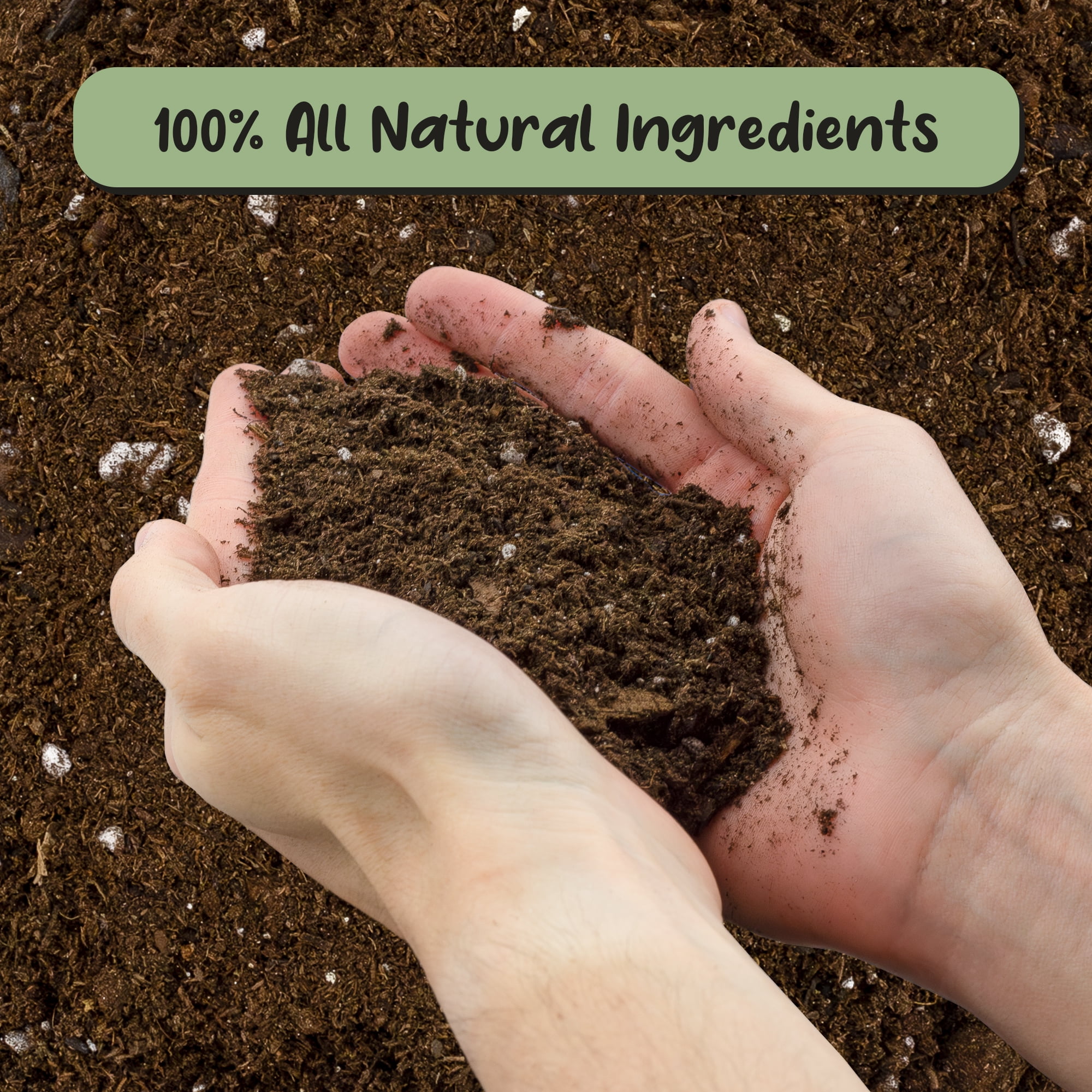 Hoya Plant Potting Soil Mix (8 Quarts), Custom Blend for Growing Hoya Tropical Houseplants
