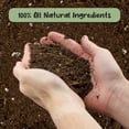 thumbnail image 3 of Hoya Plant Potting Soil Mix (8 Quarts), Custom Blend for Growing Hoya Tropical Houseplants, 3 of 9