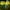 4 yellow 3 white, variant on Qoosea Solar Lights Outdoor Waterproof, Yard Decorations Outdoor Solar Light up Flowers Solar Yard Lights, 2 pack Outdoor Solar Flowers Lights for Yard Garden Patio Home Decor