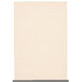 thumbnail image 1 of ECARPET Indoor/Outdoor for Balcony, Patio and Garden Yeta Ivory Rug, 1 of 9