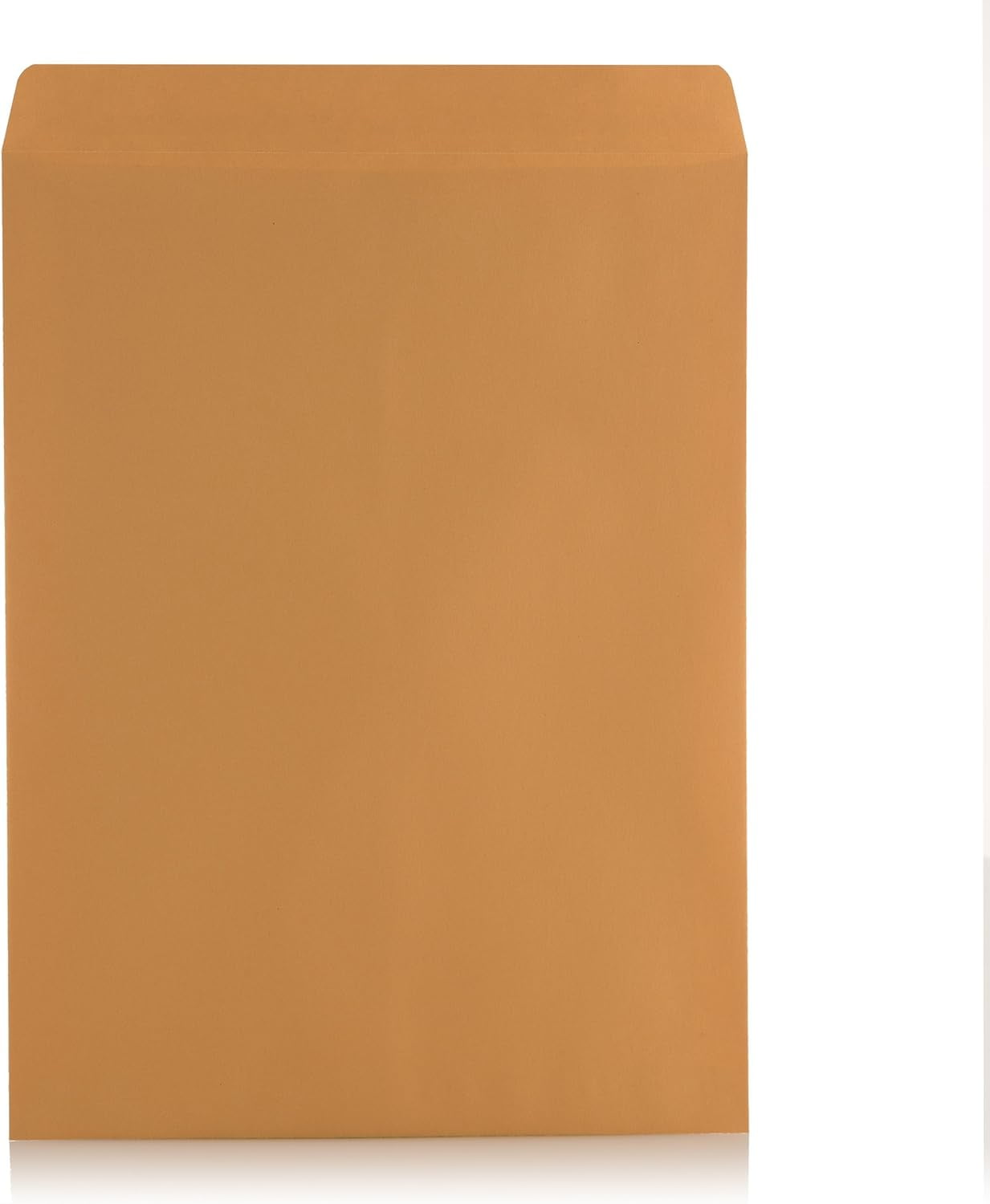 Aimoh Self-Seal Brown Kraft Catalog Mailing Envelopes, Catalog Business Envelopes, 9”x12” 250 Count