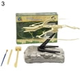 thumbnail image 2 of EIGTHTAIL Dinosaur Skeleton Excavation Dig up Kit DIY Assembly Educational Kids Toy Display Mold, 2 of 9