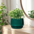 thumbnail image 4 of Ordivic 7 Inch Blackish Green Ceramic Planter with Drainage Hole and Saucer – Round Flower Pot for Indoor Outdoor Plants, Moody Home Decor, 4 of 8