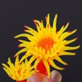 thumbnail image 6 of Simulation Silicone Ornament Artificial Coral Sea Tree Aquarium Fish Tank Landscaping Decoration, 6 of 7