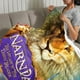 thumbnail image 3 of Las Crónicas de Narnia anti-pilling, suave, ligera, esponjosa y acogedora de lujo para hogar y cocina – Perfecta para niños y adultos,50X70cm, 3 of 6