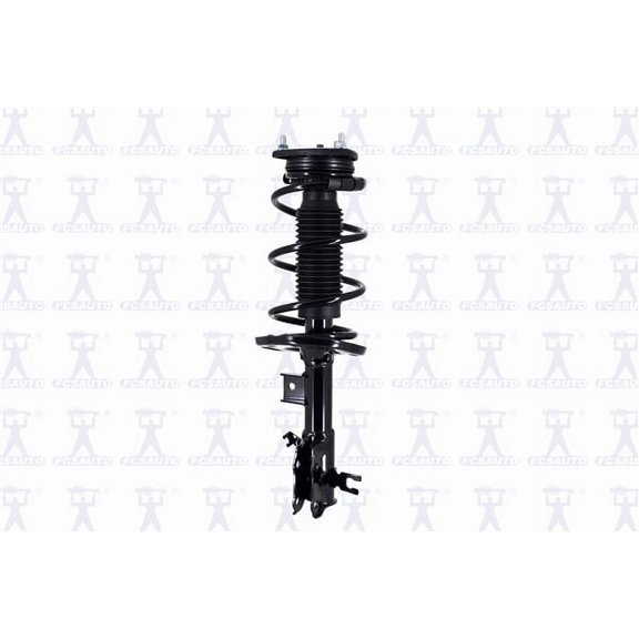 Suspension Strut and Coil Spring Assembly