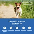 thumbnail image 5 of Interceptor Plus Chew for Dogs, 2-8 lbs, (Orange Box), Heartworm Prevention for Dogs, Chicken-Flavored Chewable, 5 of 16