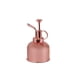 thumbnail image 2 of Toystoory Pulverizador de repuesto Vintage antioxidante portátil de mano riego jardinería aspersor atomizador herramienta Accesorios Jardín y Patio Oro rosa Toystoory HA083709-02, 2 of 6