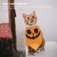 thumbnail image 2 of 1 juego de gato de estilo Halloween Bandana Cat Cat Bowtie Wear Resistant Cat., 2 of 5