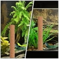 thumbnail image 3 of OULII Bearded Dragon Enrichment Toys Climbing Pole Synthetic Material 1Pcs, 3 of 7