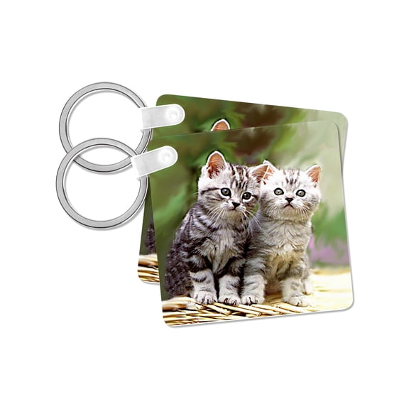 3dRose, Two Kittens, set of 2 Key Chains