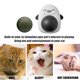 thumbnail image 2 of Hierba Gatera Juguete Limpieza para Gatos Plástico para Suministros para (pingüino Oscuro), 2 of 9