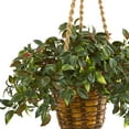 thumbnail image 3 of Nearly Natural 30" Plastic Mini Melon Artificial Plant in Hanging Basket UV Resistant, Green, 3 of 4