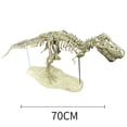 thumbnail image 4 of Jurassic Explorer: Large-Sized T-Rex Fossil Assembly Kit for Kids 7-14 – Educational PVC Dinosaur Model with Paint, Brushes & Glue, Decorative Living Room Display, Easy-to-Build Prehistoric Toy in, 4 of 5