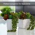 thumbnail image 6 of LAVA 2 Pcs Artificial Hanging Plants Fake Succulents String of Pearls Fake Hanging Basketplant for Home Kitchen Office Garden Wedding Decor, 35.4 inch, 6 of 10