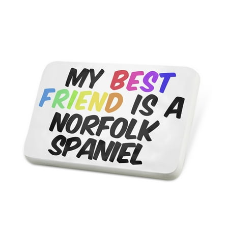 Porcelein Pin My best Friend a Norfolk Spaniel Dog from United Kingdom Lapel Badge –