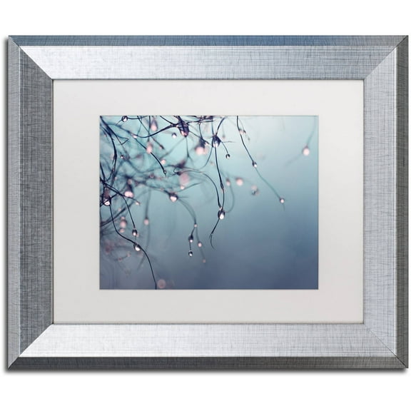 Trademark Fine Art "As Time Goes By" Canvas Art by Beata Czyzowska Young, White Matte, Silver Frame