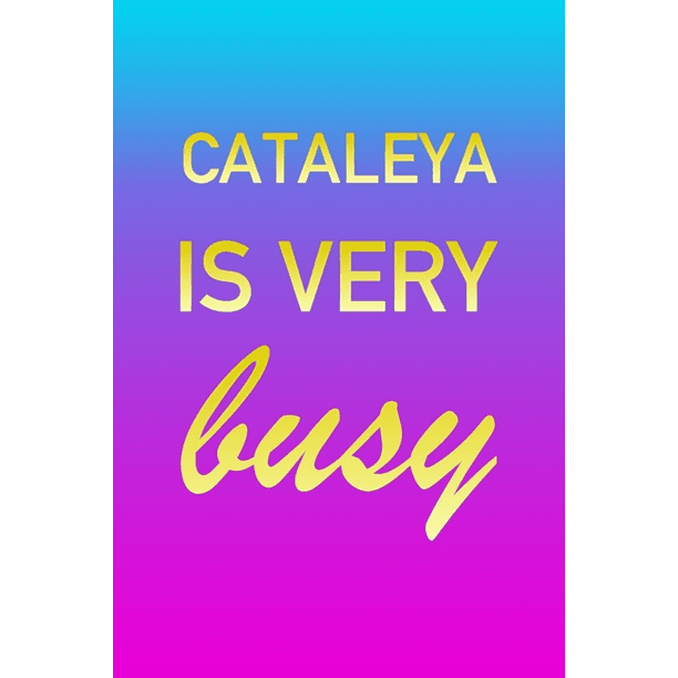cataleya i 39 m very busy 2 year weekly planner with note city planner cover letter