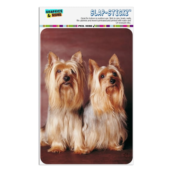 Yorkie Yorkshire Terrier Buddies Home Business Office Sign