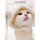 thumbnail image 2 of Pet Cat Hat Funny Headwear Dress-Up Cap For Cats, 2 of 2