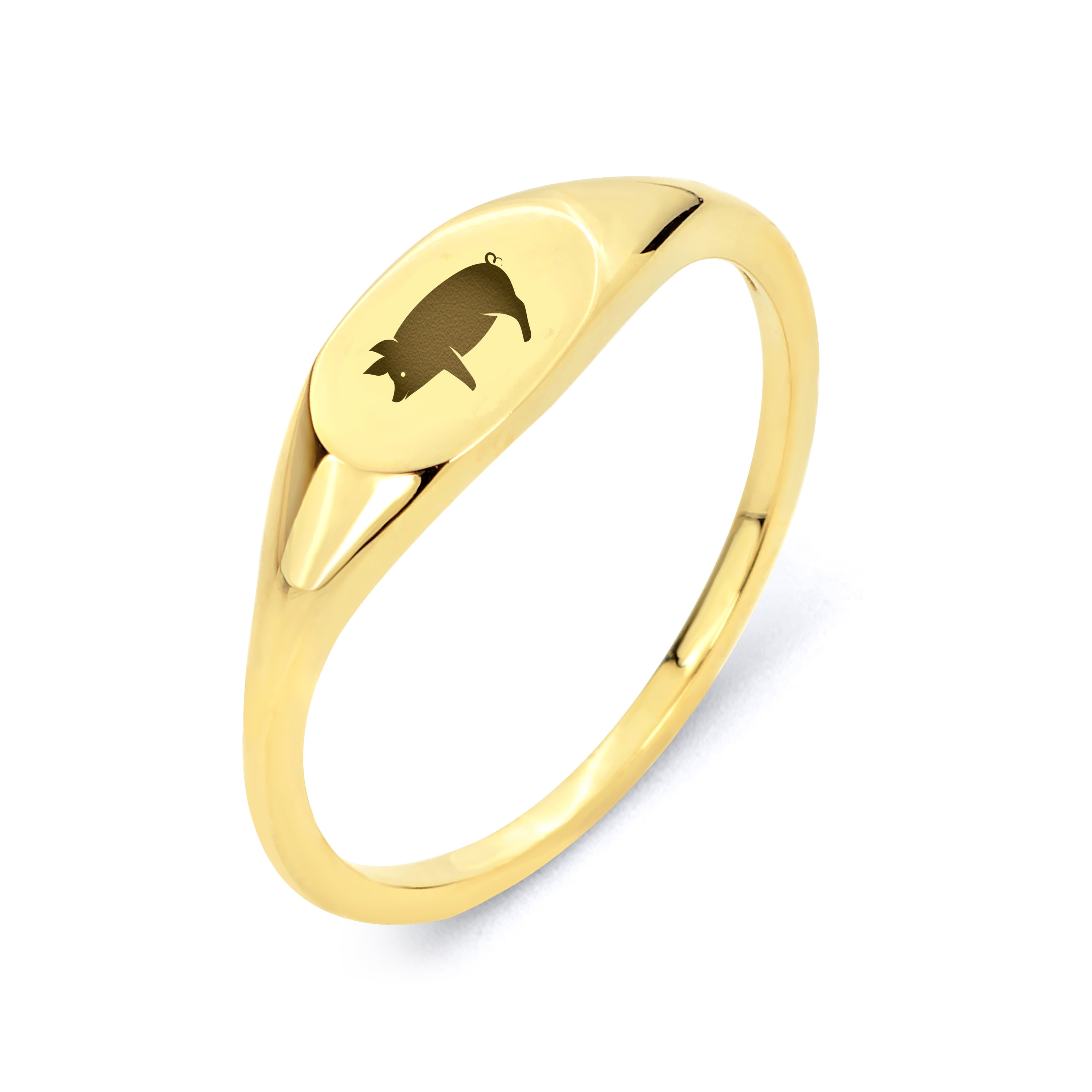leef ermee klimaat achtergrond 10k Yellow Gold Chinese Zodiac Signet Ring - Solid Gold Year of the Pig Ring  for Her - Size 5 - Walmart.com