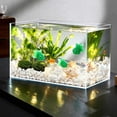 thumbnail image 2 of 20Pcs Diving Pool Toys, Artificial Goldfish 1.77" Realistic Rubber Floating Fish Fish Tank Decor TPR Small Tropical Goldfishesfor Sensory Bin, Bath & Soccer Theme Favors Mixed Color, 2 of 3