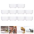 thumbnail image 4 of BRIGHTFUFU 10pcs Reptile Reptile Spider Water Curain Food Cuenca Reptile Feeding Tazón Container de bandeja de alimentos, 4 of 6