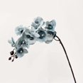 thumbnail image 5 of Artificial Phalaenopsis Orchid Stem, 9 Heads Latex Phalaenopsis Stems Fake Orchid Spray, Elegant Clustered Orchid Blooms Tall Stem, Artificial Orchid Stem Bouquets for Home Decor 1Pcs, 5 of 6