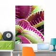 thumbnail image 1 of Carnivorous Plant Wall Mural by Wallmonkeys Peel and Stick Graphic (36 in H x 27 in W) WM106593, 1 of 4